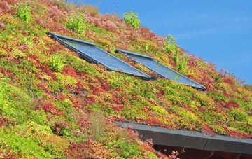 Aiketgate living roof systems